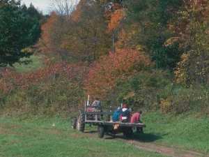 Tractor in fall field