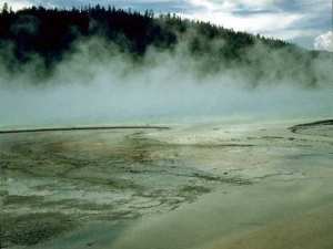 Geyser steam