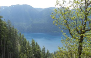 Lake Crescent from Pyramid Peak Trail.