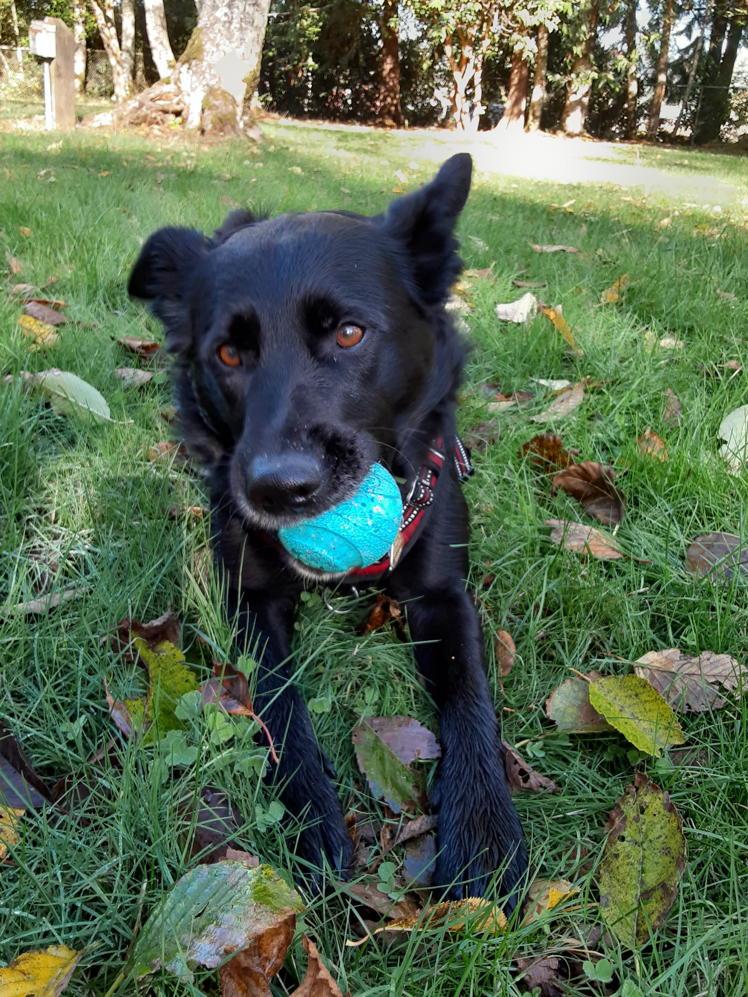 20211030_1159147258895013438192878